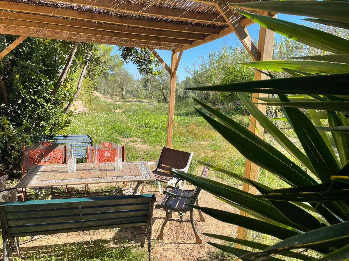 Casa Rural Con Jardin,A 8Km Playa Y En La Naturaleza Taronja&Canyella Ardenya ภายนอก รูปภาพ