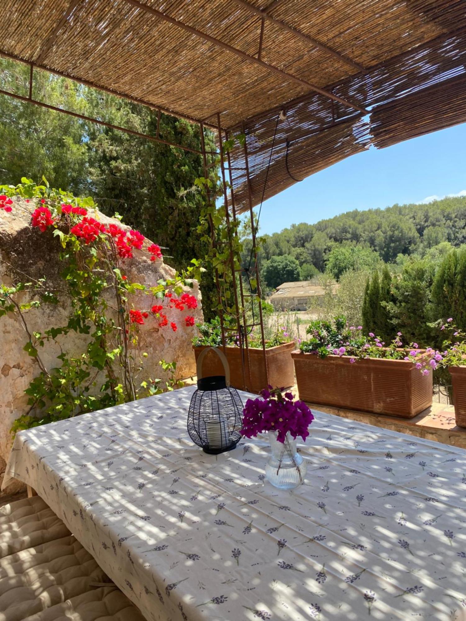 Casa Rural Con Jardin,A 8Km Playa Y En La Naturaleza Taronja&Canyella Ardenya ภายนอก รูปภาพ